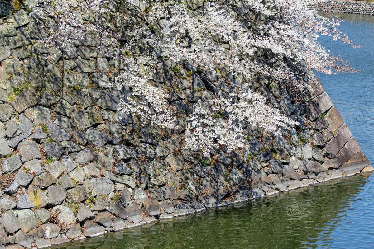Nagoya Castle Garden