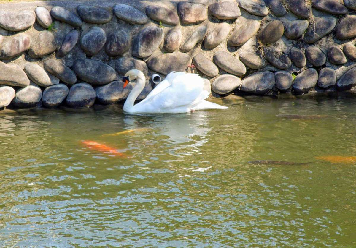 Nagoya Castle Garden