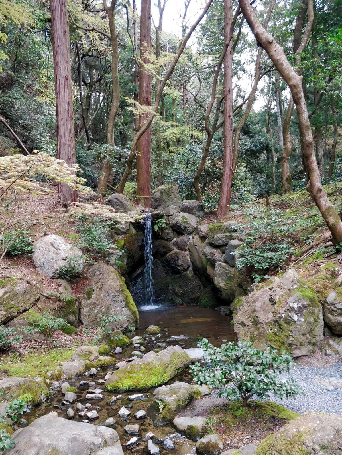 Daigoji Kami Daigo