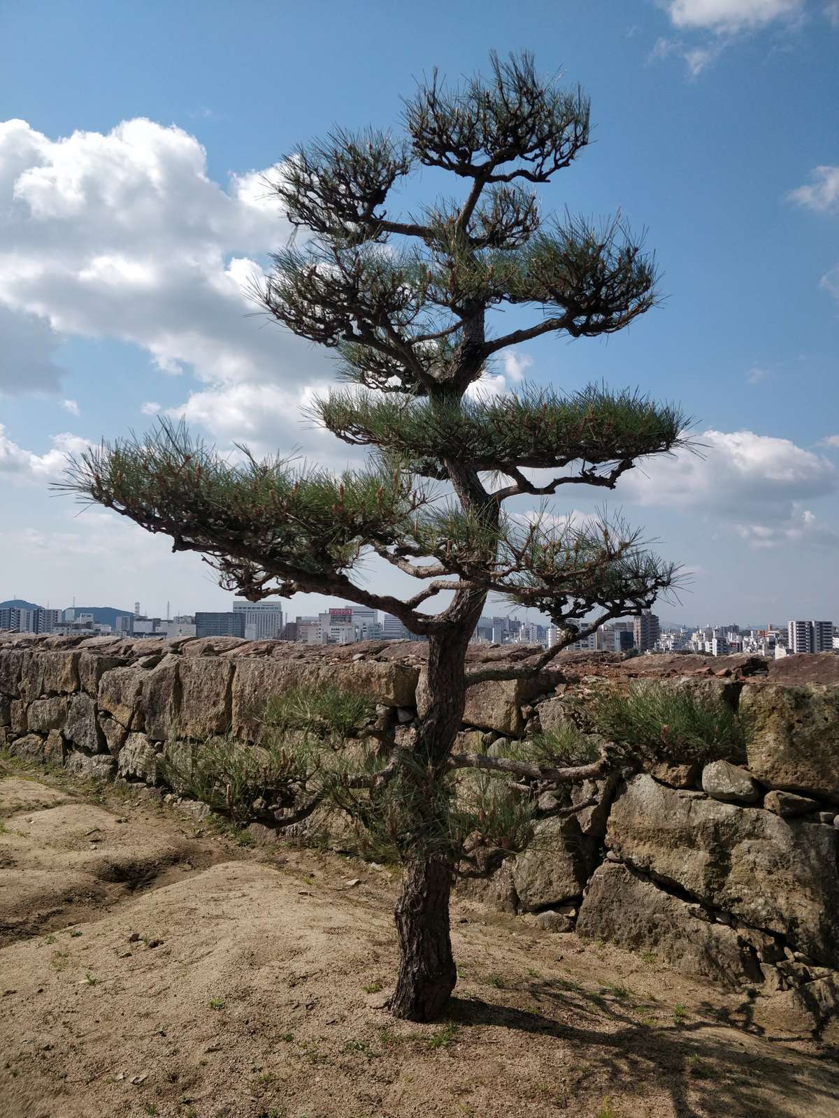 Himeji Castle Maze