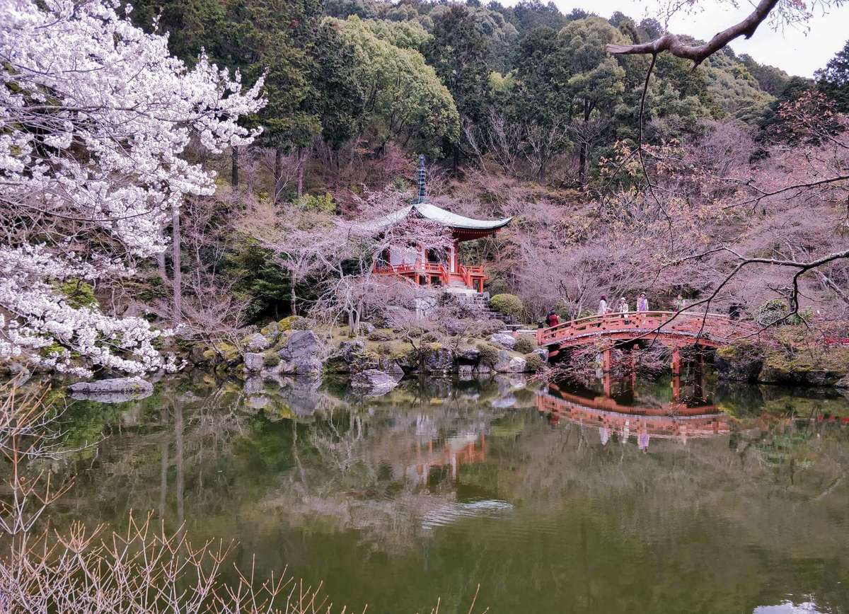 Daigoji Shimo Daiho