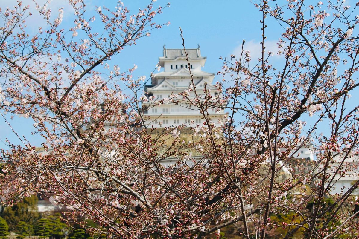 Himeji Castle Garden