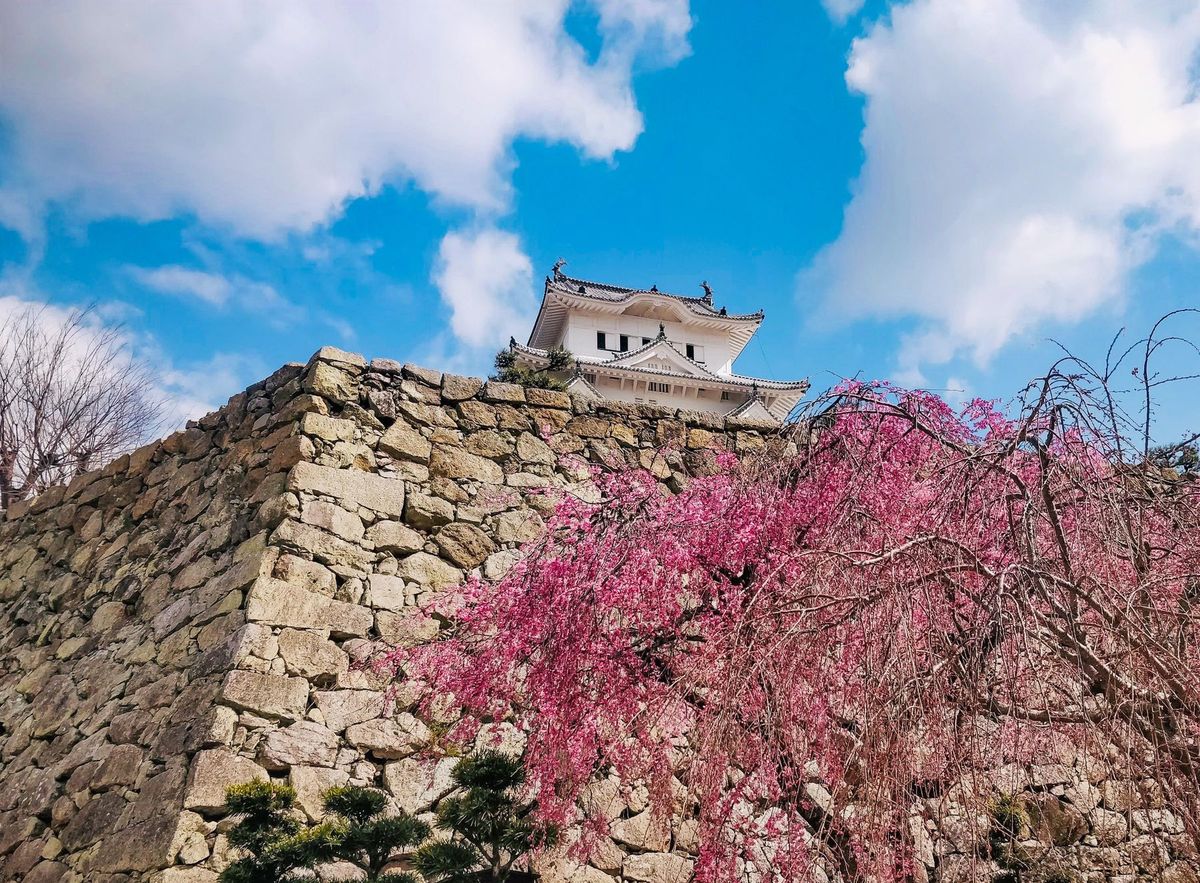 Himeji Castle Maze