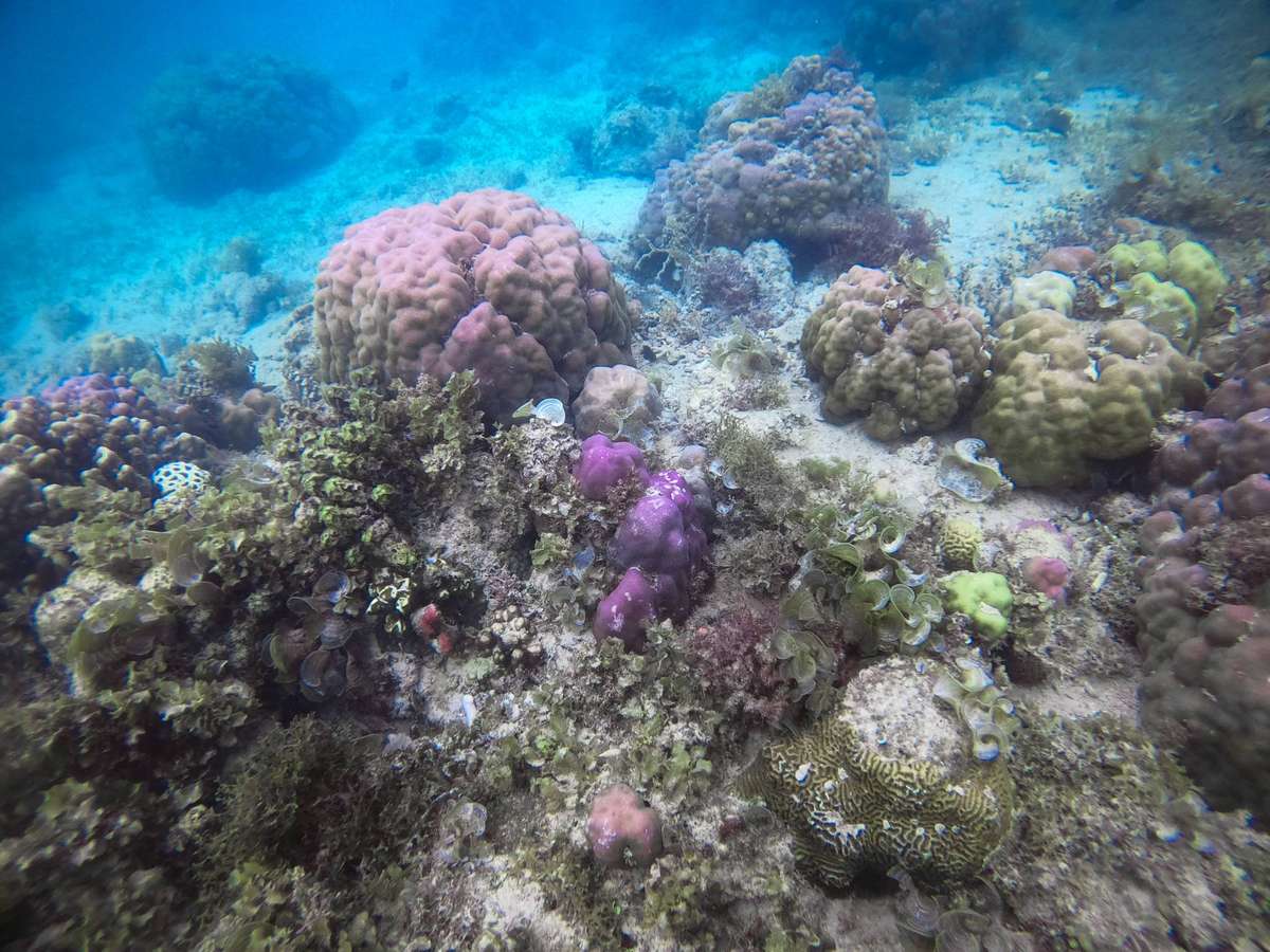 El Nido