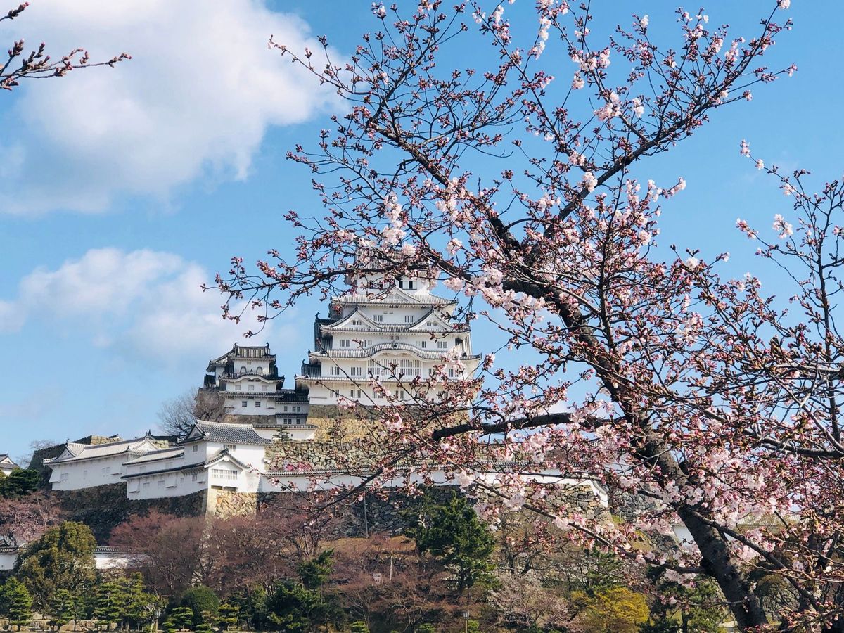 Himeji Castle Garden