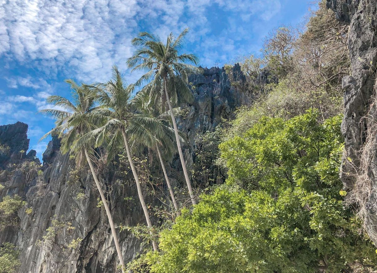 El Nido Tour B Entalula Beach