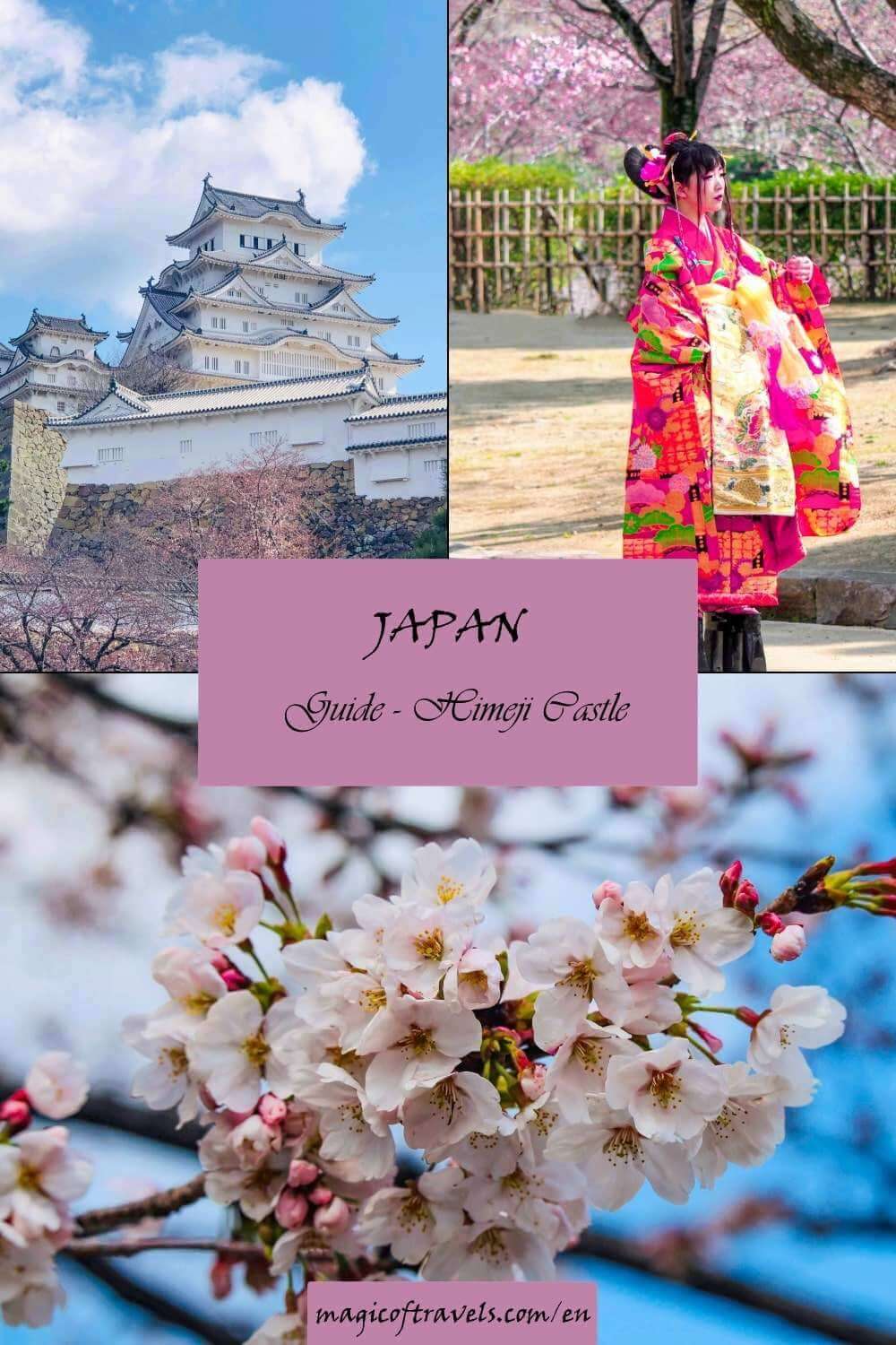 Himeji Castle Pinterest card