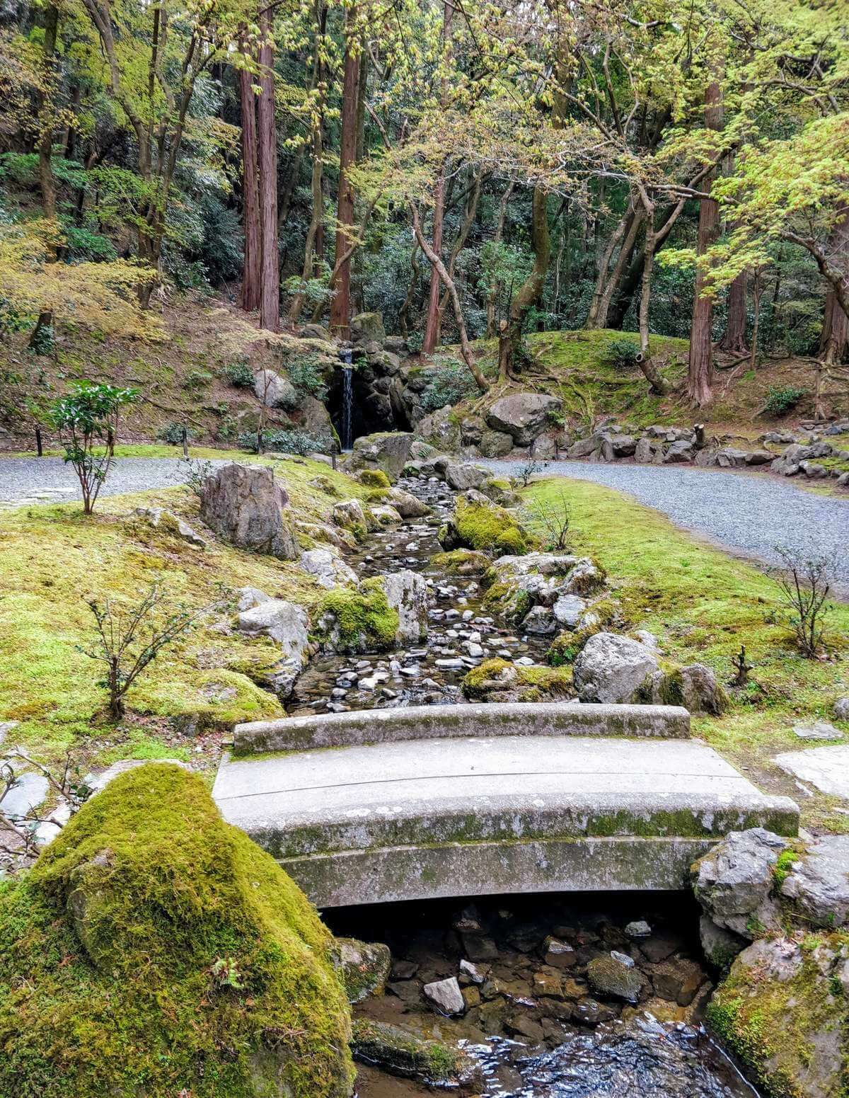 Daigoji Kami Daigo