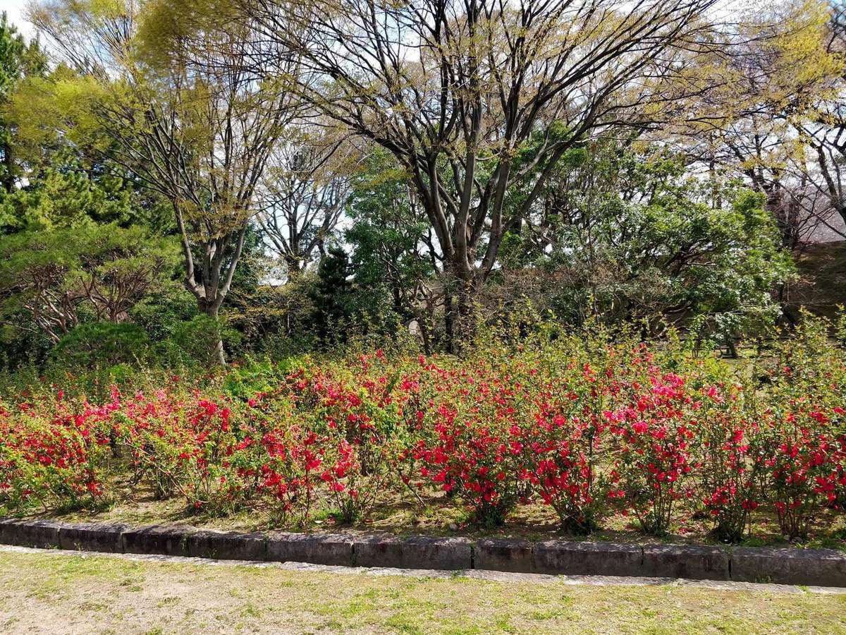 Nagoya Castle Garden
