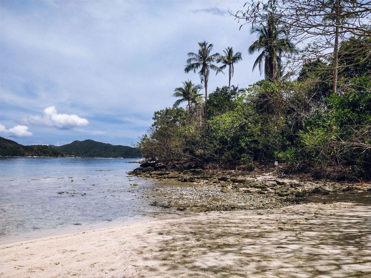 El Nido Tour B Snake Island
