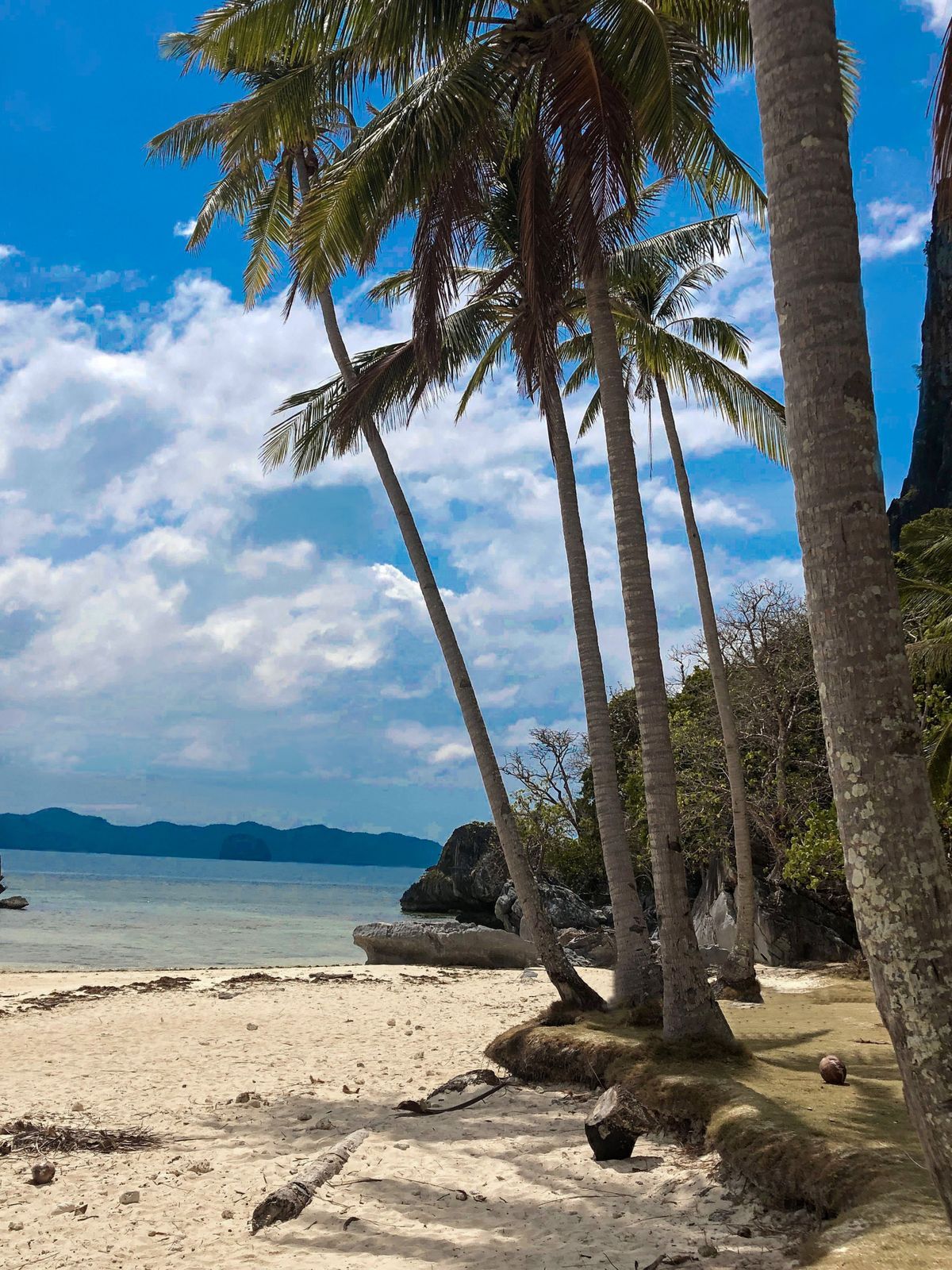 El Nido Tour B Pinagbuyutan Island
