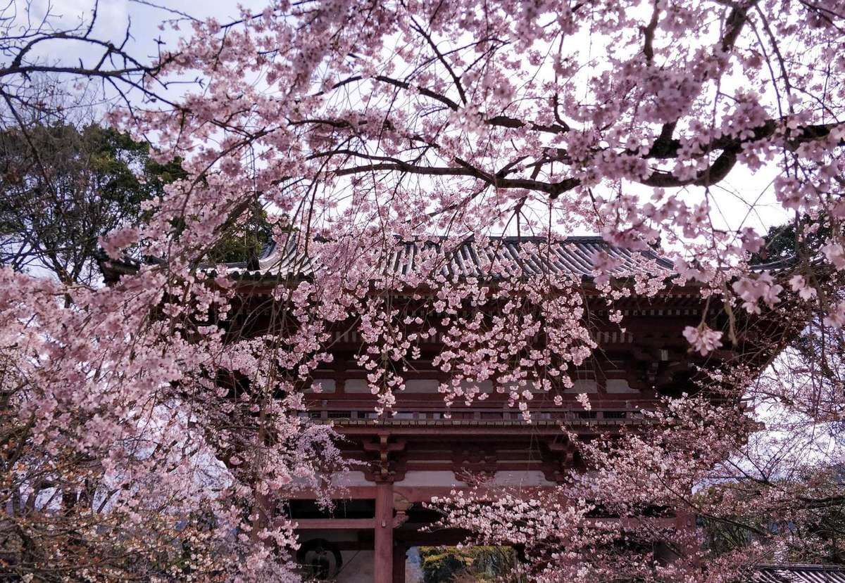 Daigoji Sambo-In