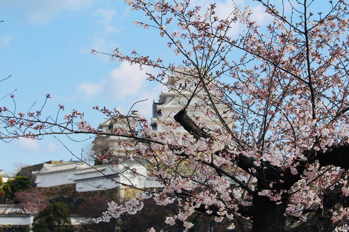 Himeji Castle Garden