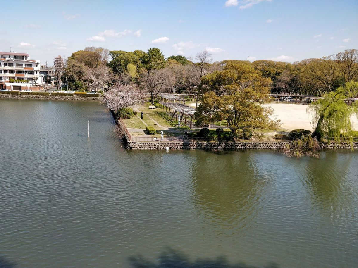 Nagoya Castle Garden