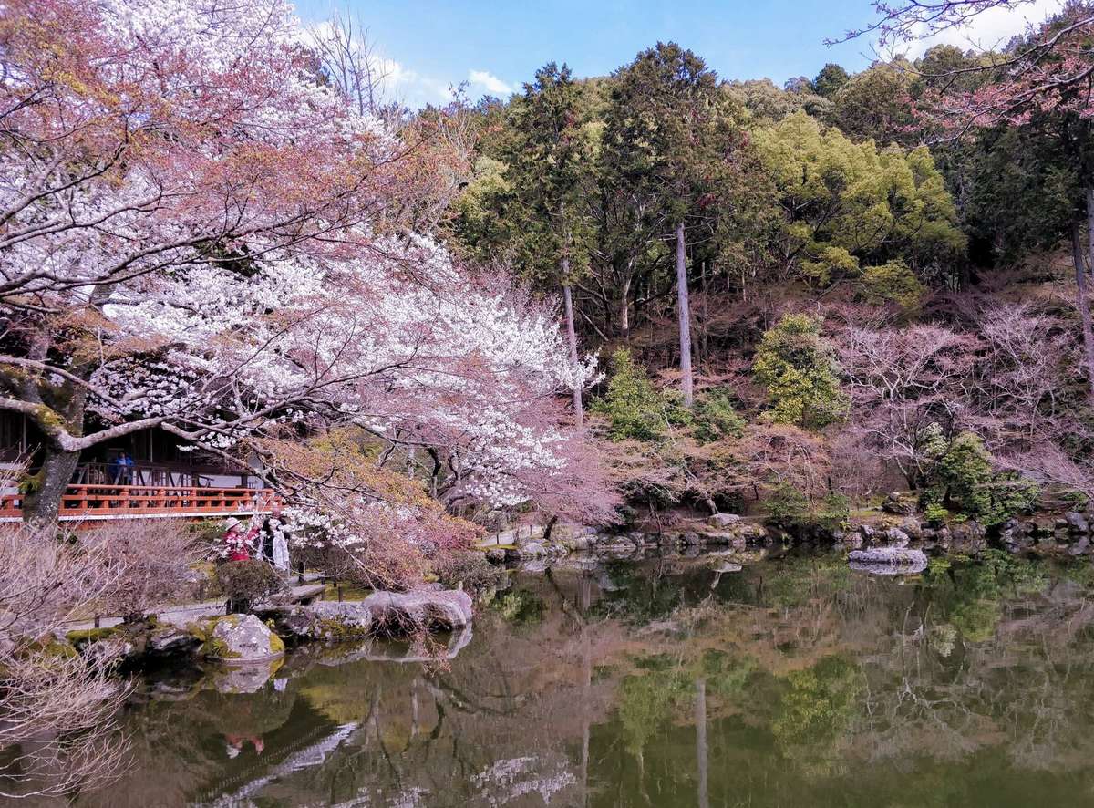 Daigoji Shimo Daiho