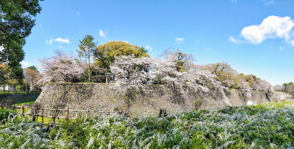 Nagoya Castle Entrance