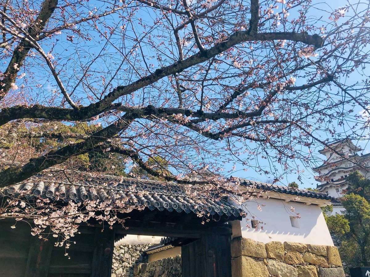 Himeji Castle Maze
