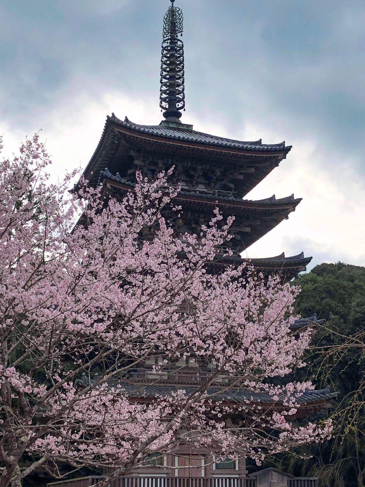 Daigoji Shimo Daiho