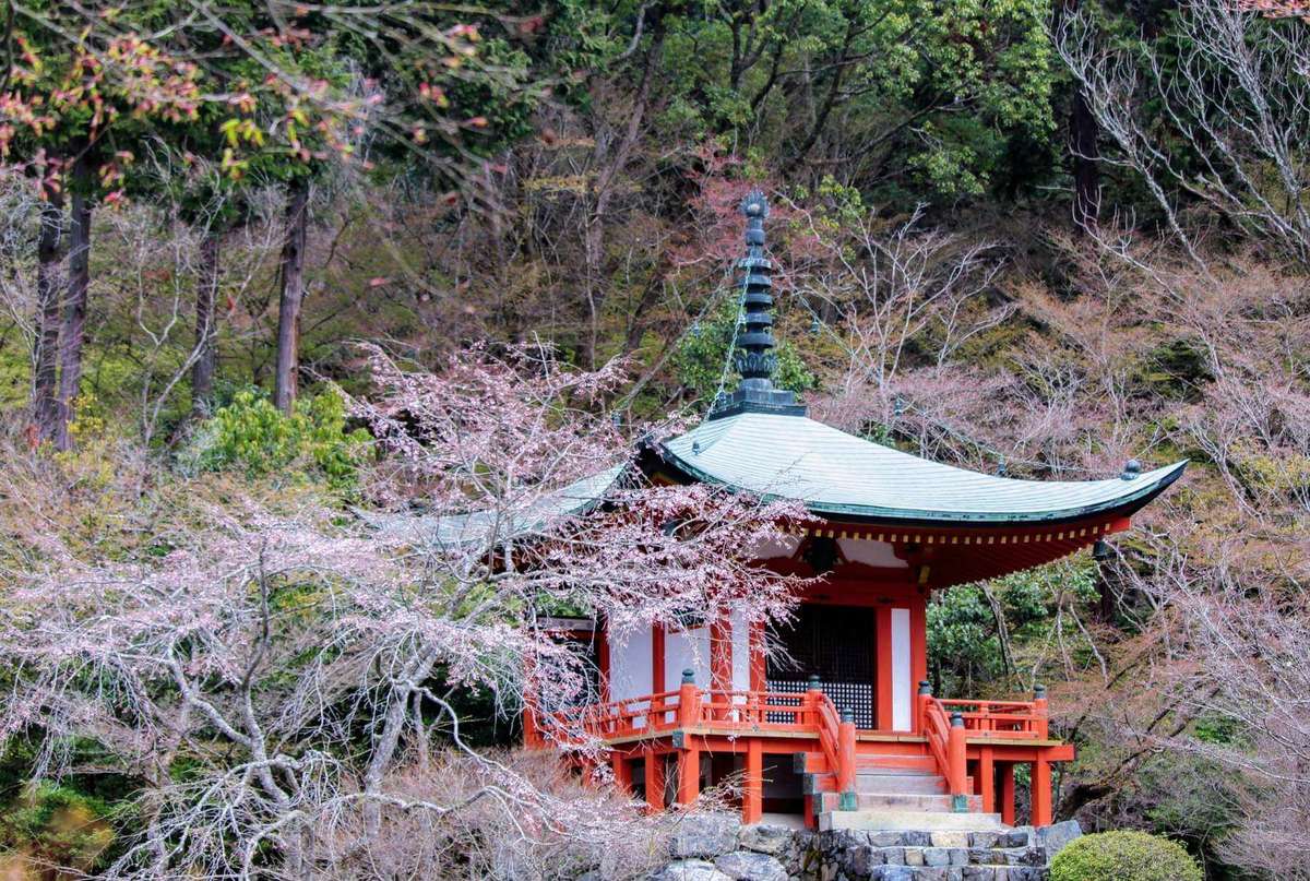 Daigoji Shimo Daiho