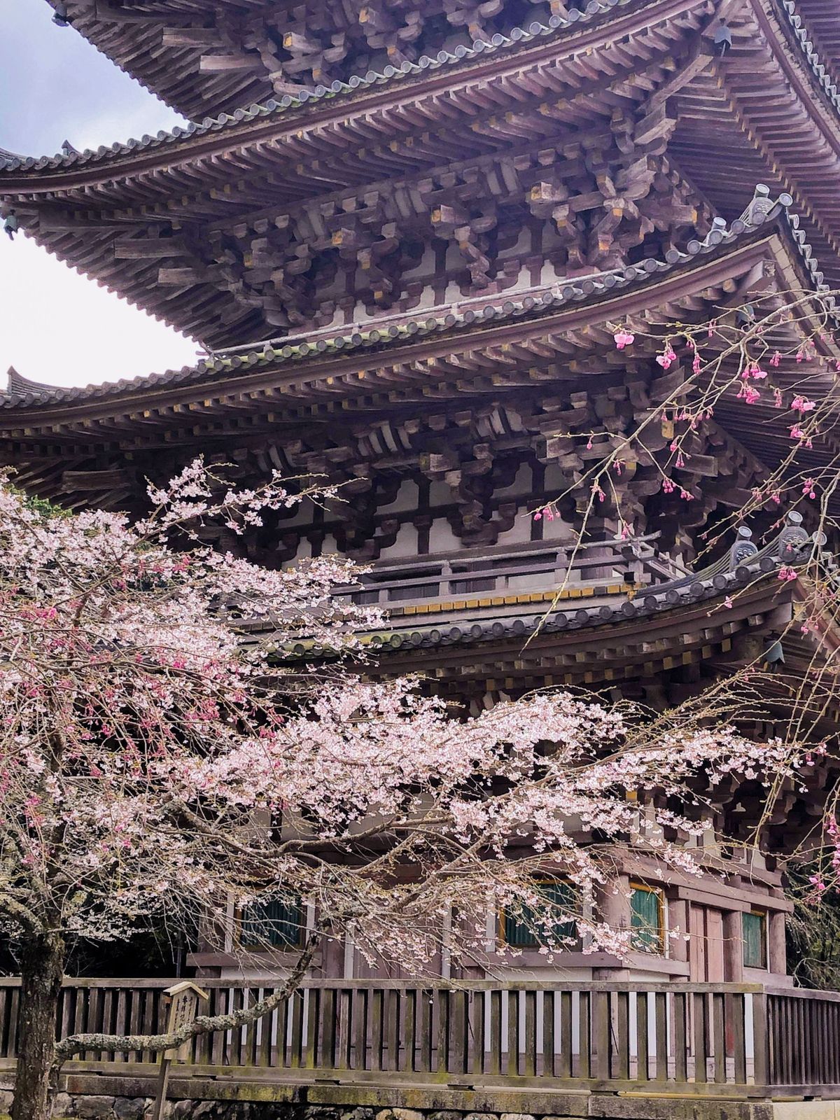 Daigoji Shimo Daiho