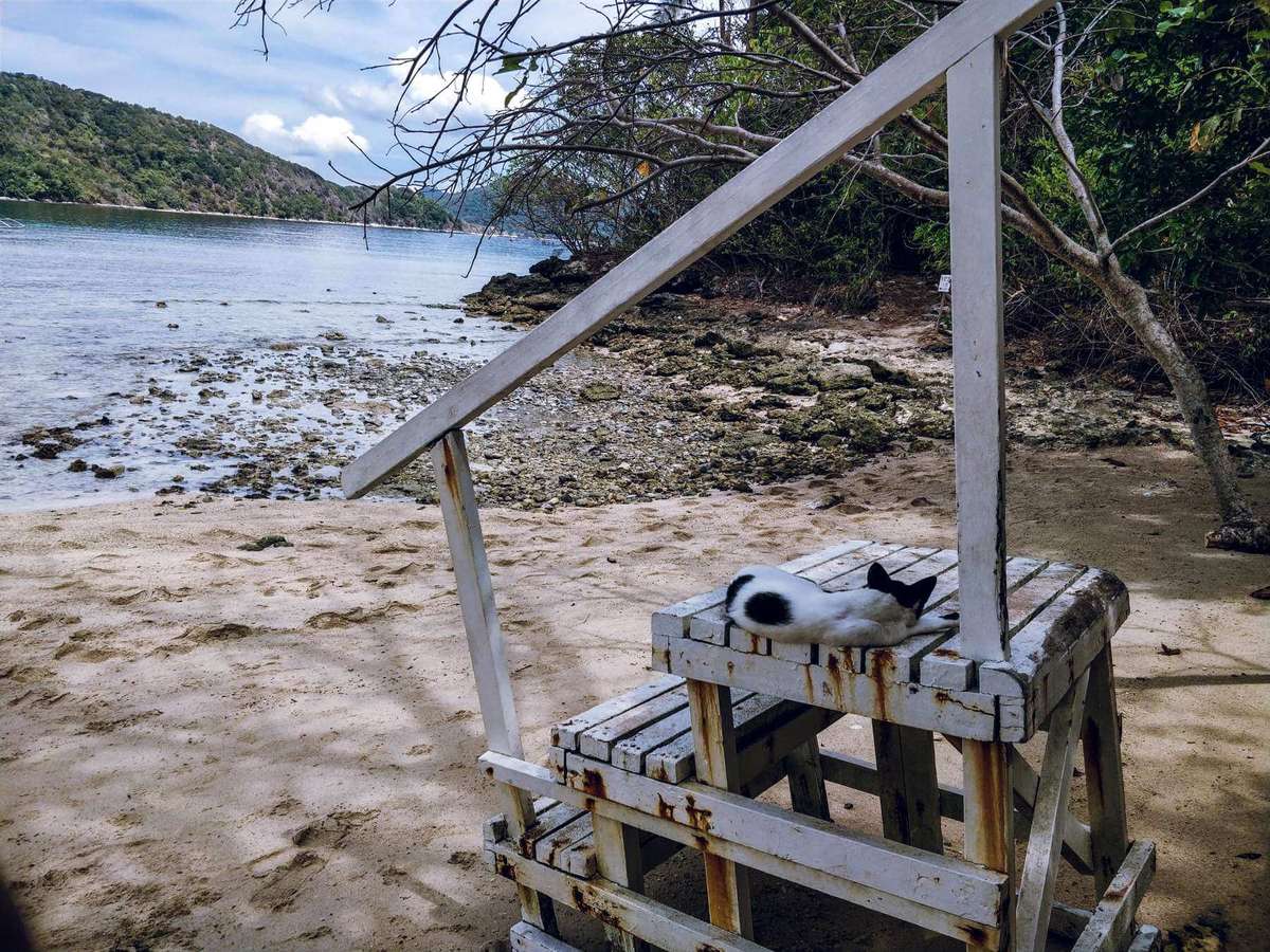 El Nido Tour B Snake Island